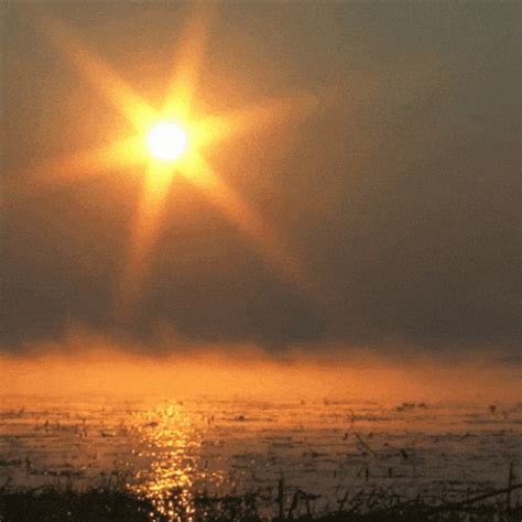 gif sun|Beautiful Sun gifs